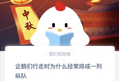 企鹅们行走时为什么经常排成一列纵队A、天生的绅士风度B、为了安全