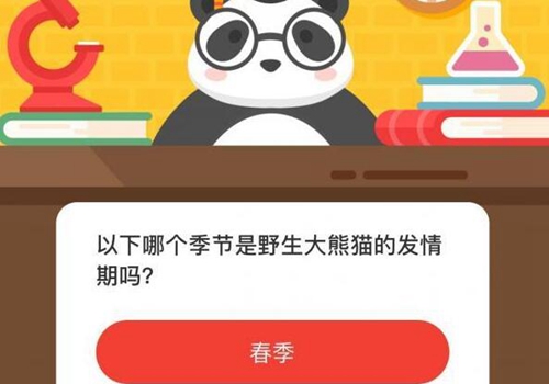 以下哪个季节是野生大熊猫的发情期吗-微博森林驿站12月10日森林小课堂答案