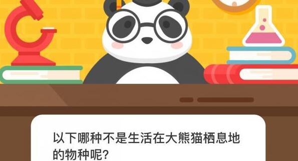 以下哪种不是生活在大熊猫栖息地的物种呢-微博森林驿站12月13日森林小课堂答案
