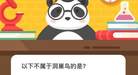/news/6532.html