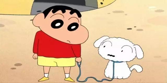 看动漫软件大全