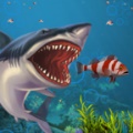 海洋鯊魚模擬器下載-海洋鯊魚模擬器安卓版最新免費下載