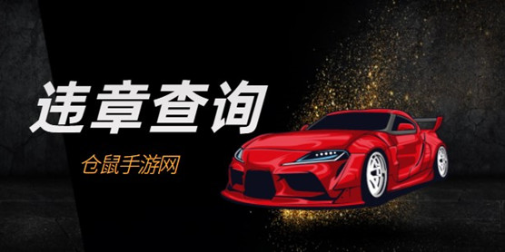 违章查询软件大全