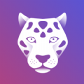 豹壁纸主题app