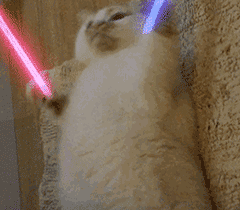 甩荧光棒的猫咪表情包图片